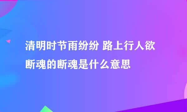 清明时节雨纷纷 路上行人欲断魂的断魂是什么意思