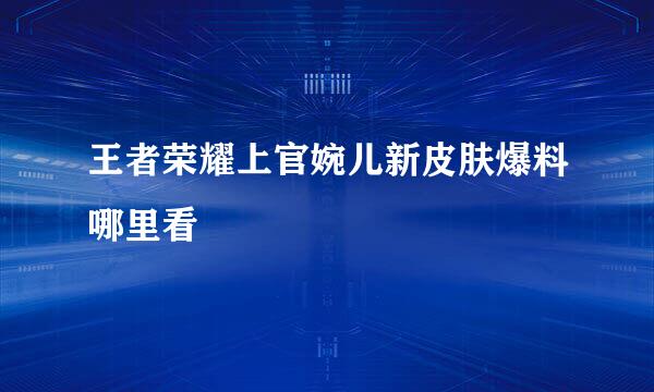 王者荣耀上官婉儿新皮肤爆料哪里看
