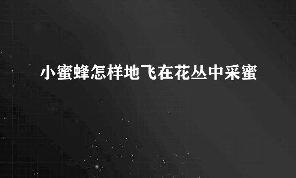 小蜜蜂怎样地飞在花丛中采蜜