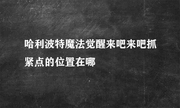 哈利波特魔法觉醒来吧来吧抓紧点的位置在哪