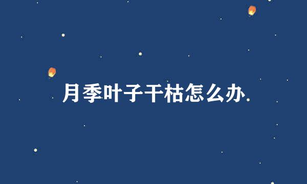 月季叶子干枯怎么办