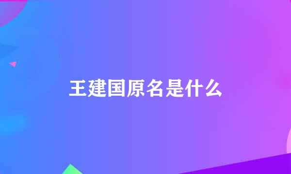 王建国原名是什么