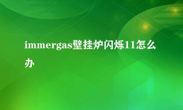 immergas壁挂炉闪烁11怎么办