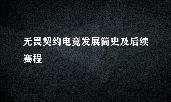 无畏契约电竞发展简史及后续赛程