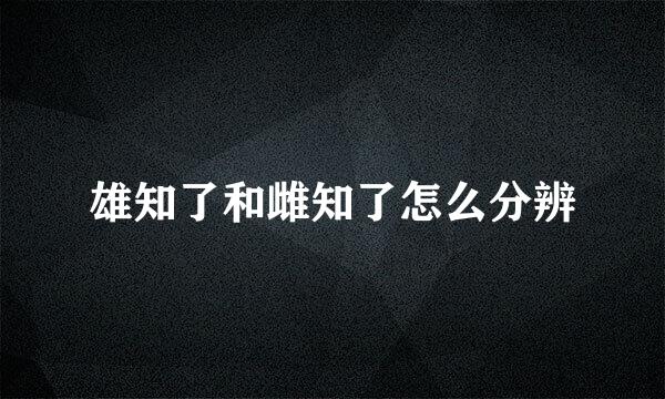 雄知了和雌知了怎么分辨