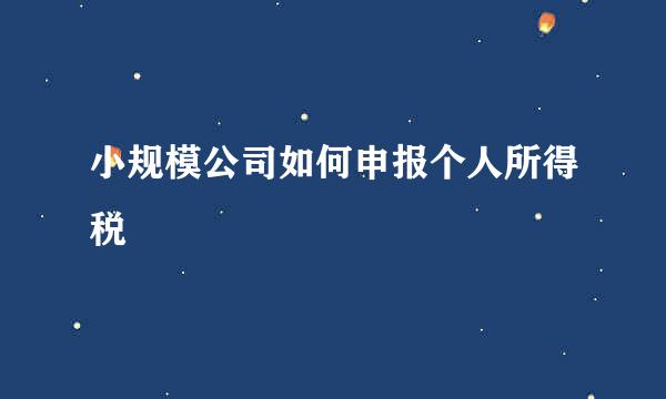 小规模公司如何申报个人所得税