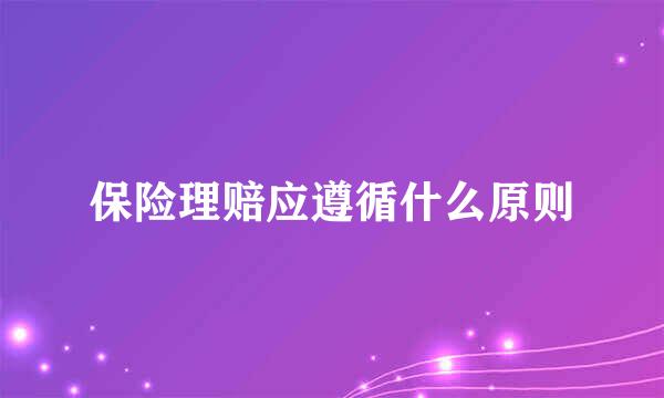 保险理赔应遵循什么原则