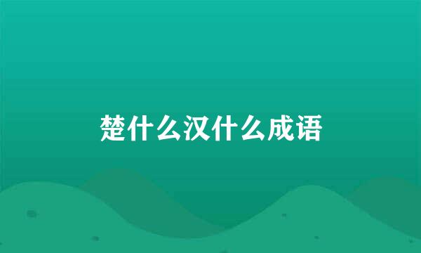 楚什么汉什么成语