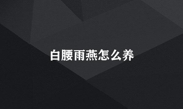 白腰雨燕怎么养