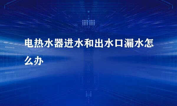 电热水器进水和出水口漏水怎么办