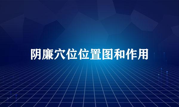 阴廉穴位位置图和作用