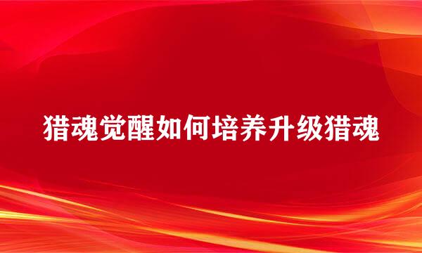 猎魂觉醒如何培养升级猎魂