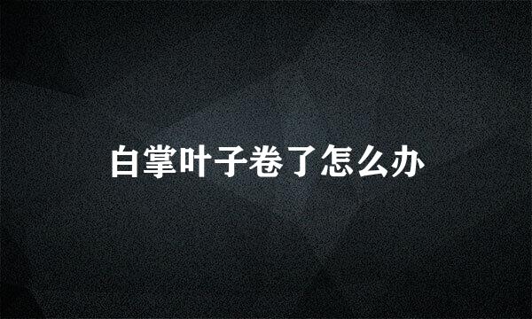 白掌叶子卷了怎么办