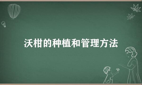 沃柑的种植和管理方法