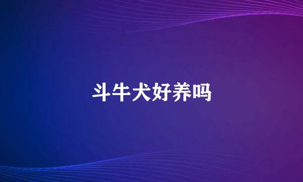 斗牛犬好养吗