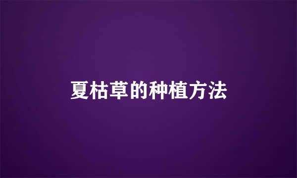 夏枯草的种植方法