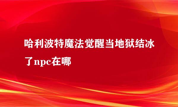 哈利波特魔法觉醒当地狱结冰了npc在哪