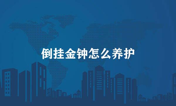 倒挂金钟怎么养护