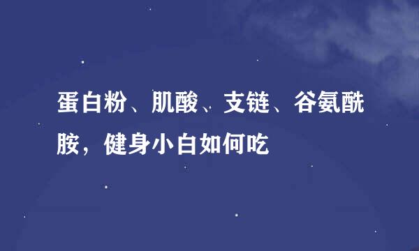 蛋白粉、肌酸、支链、谷氨酰胺，健身小白如何吃