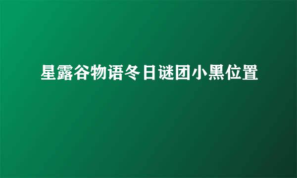 星露谷物语冬日谜团小黑位置