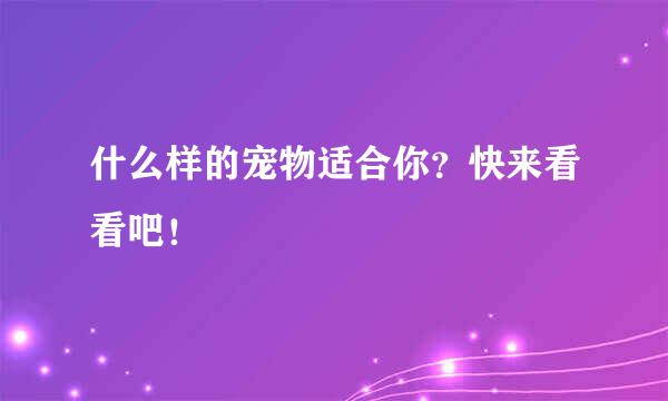 什么样的宠物适合你？快来看看吧！
