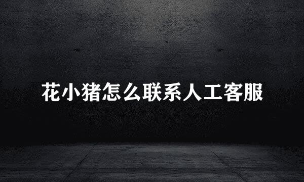 花小猪怎么联系人工客服