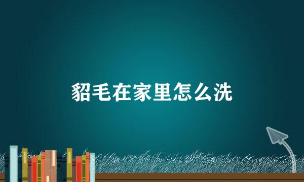 貂毛在家里怎么洗