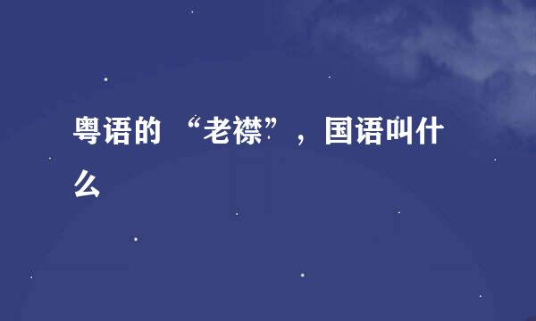 粤语的 “老襟”，国语叫什么