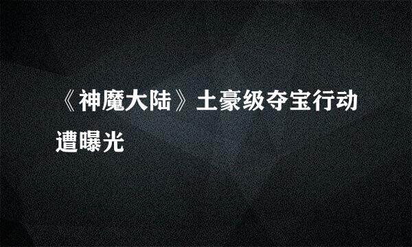 《神魔大陆》土豪级夺宝行动遭曝光