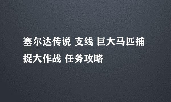 塞尔达传说 支线 巨大马匹捕捉大作战 任务攻略