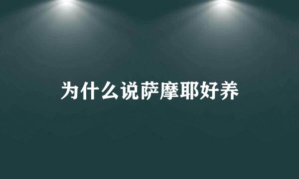 为什么说萨摩耶好养