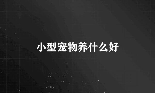 小型宠物养什么好