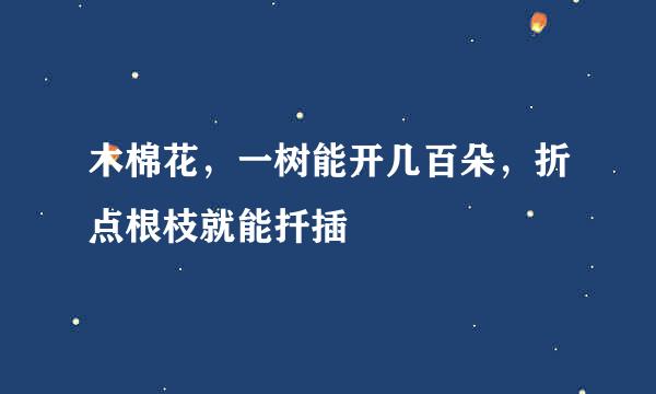 木棉花，一树能开几百朵，折点根枝就能扦插