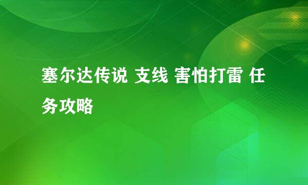 塞尔达传说 支线 害怕打雷 任务攻略