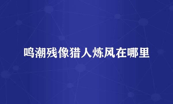 鸣潮残像猎人炼风在哪里