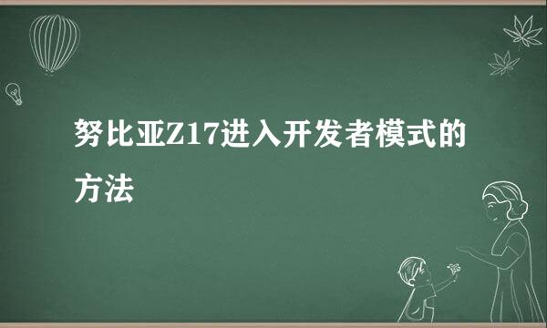 努比亚Z17进入开发者模式的方法