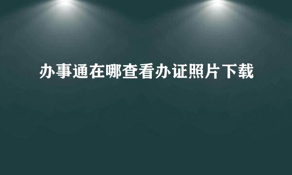 办事通在哪查看办证照片下载