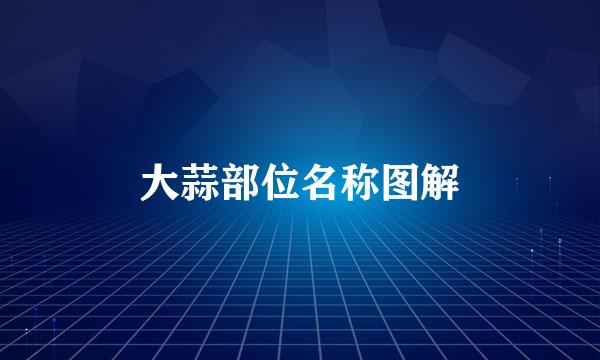 大蒜部位名称图解
