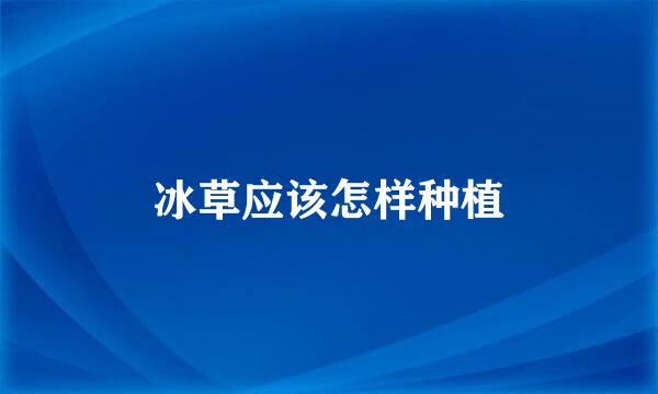 冰草应该怎样种植