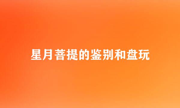星月菩提的鉴别和盘玩