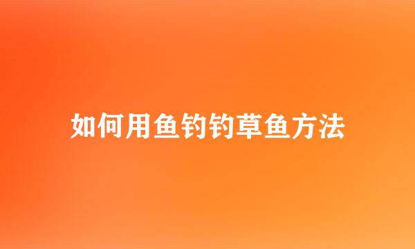 如何用鱼钓钓草鱼方法