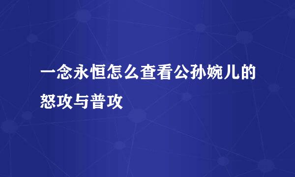 一念永恒怎么查看公孙婉儿的怒攻与普攻