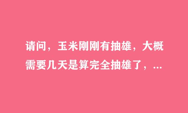 请问，玉米刚刚有抽雄，大概需要几天是算完全抽雄了，抽雄到开花又需要几天呢~~