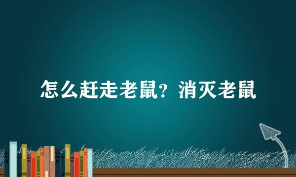 怎么赶走老鼠？消灭老鼠