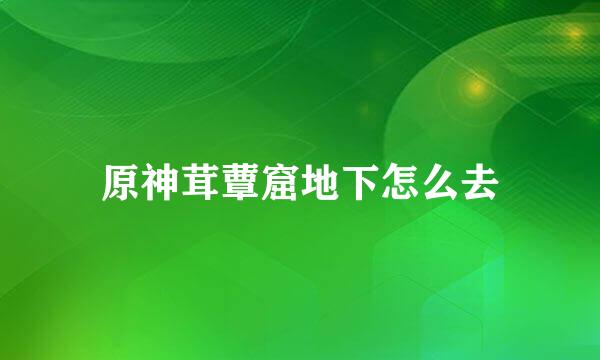 原神茸蕈窟地下怎么去