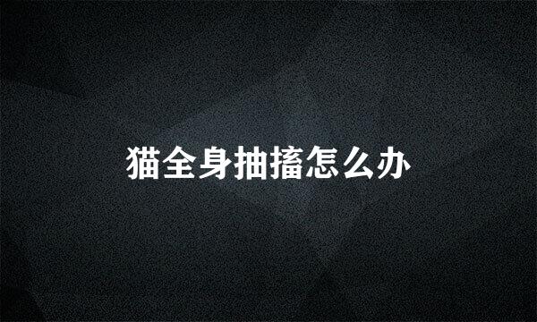 猫全身抽搐怎么办