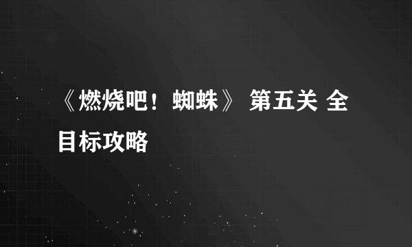 《燃烧吧！蜘蛛》 第五关 全目标攻略