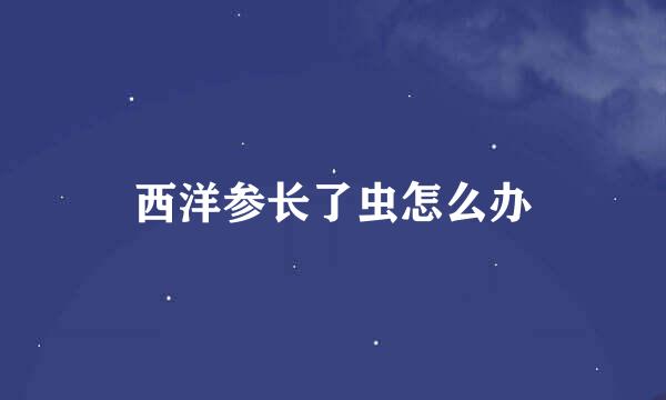 西洋参长了虫怎么办