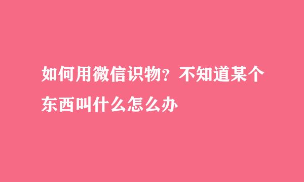 如何用微信识物？不知道某个东西叫什么怎么办