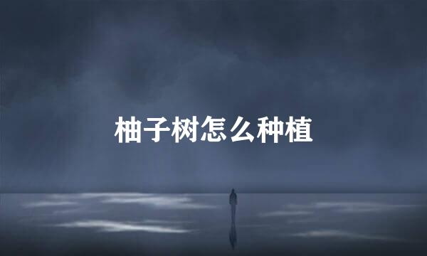 柚子树怎么种植